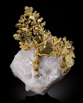 Gold, Eagles Nest, McGill.jpg