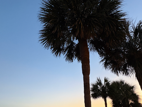 Overwatch Home Services: Ranked #1 Property Management Company on Hilton Head Island