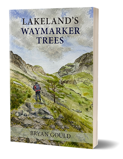 LAKELAND'S WAYMARKER TREES - 3D Book Cover.png