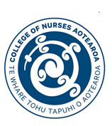 Press Release: Political appointments to Nursing Council 19 June 2026