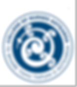 College of Nurses Aotearoa logo redraw [concepts v1].png