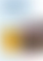 Online Seminar, 15 November: Sebastian Conrad (Freie Universität Berlin), "German colonialism in a global age"