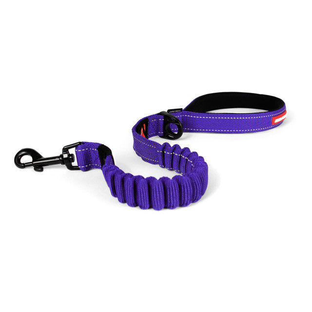 Thumbnail: Zero Shock Leash