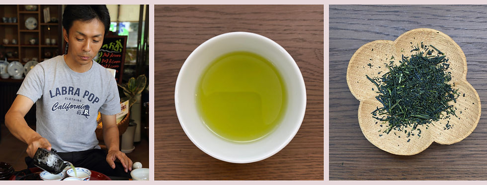 Single-origin Sayama Kaori Sencha tea leaves