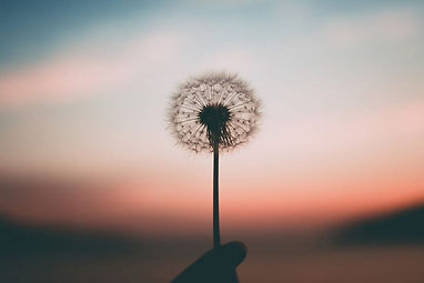 mindfulness-semplice.jpg
