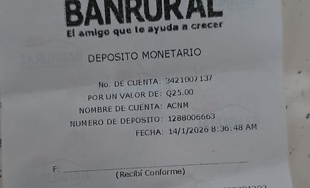Ejemplo Boleta.jpg