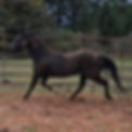 VideoCapture_20241129-230932.jpg