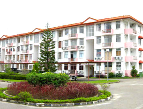 Image Photo