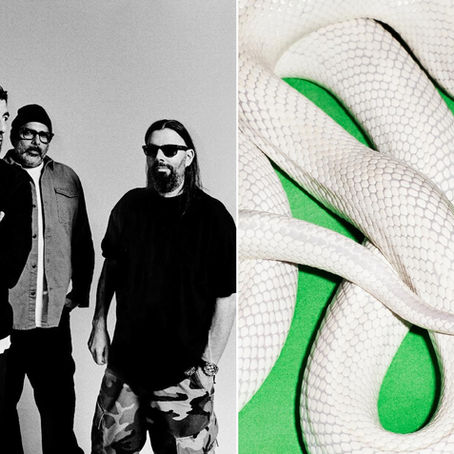 Albüm İncelemesi: Deftones - "private music"