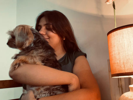 A desk becomes a companion