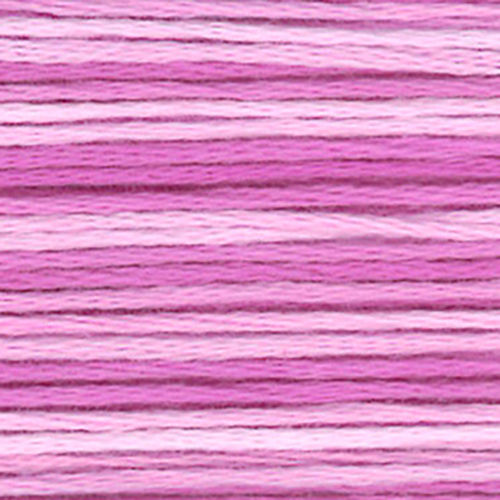 Cosmo Seasons Variegated Embroidery Floss 8060
