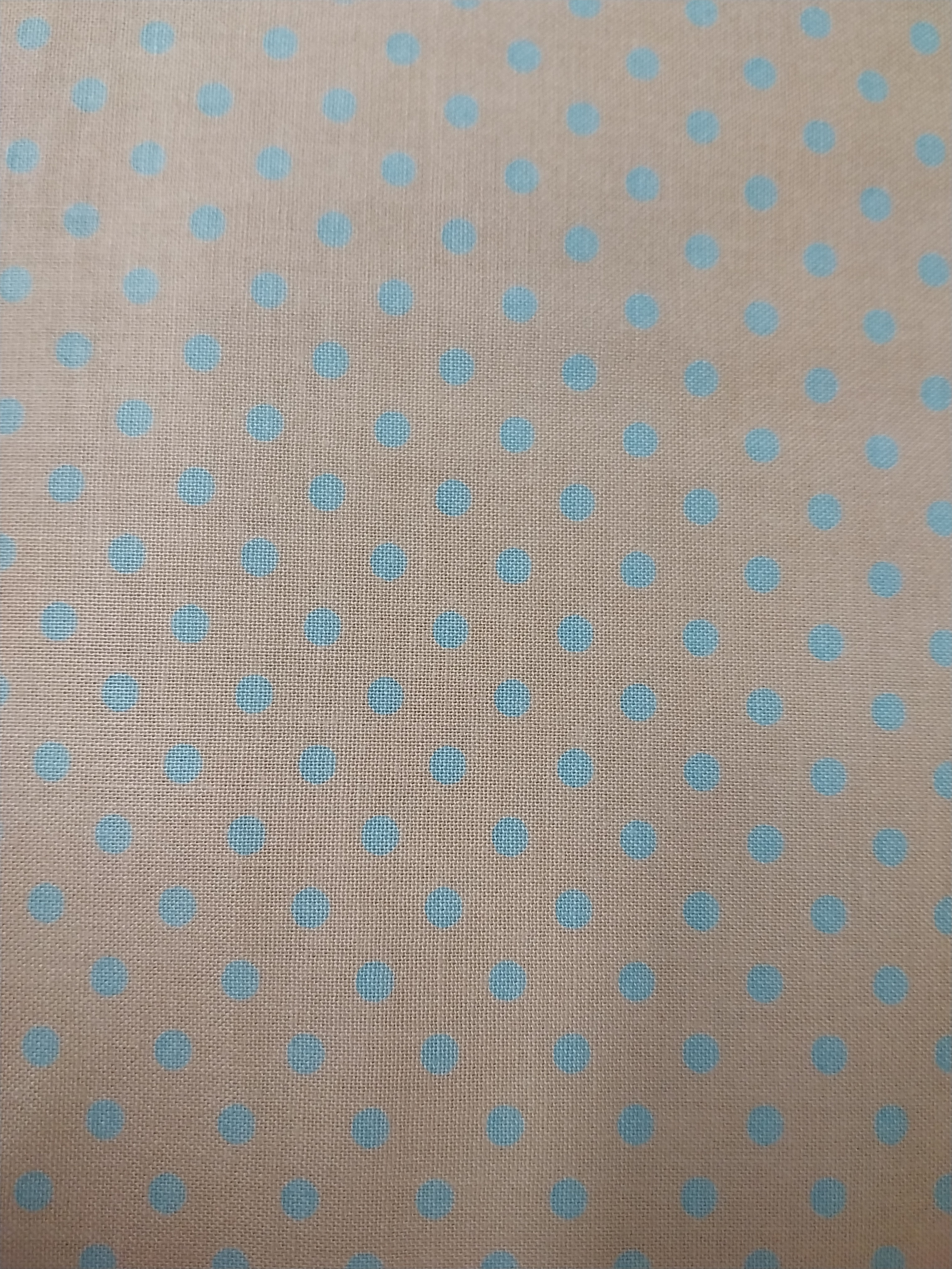 Light Blue Spots on Stone - Fern Textiles