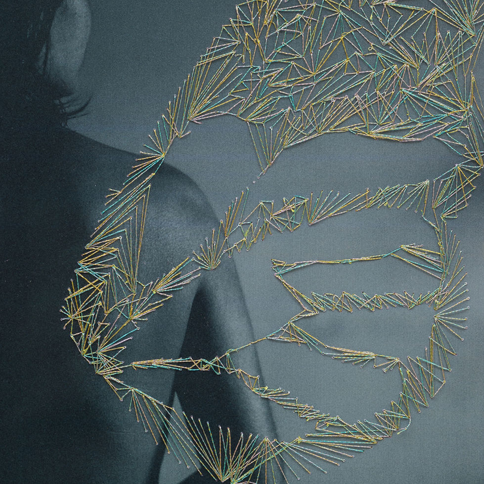 25-04-01 - Obras Patti Saporiti - Obra 003_2