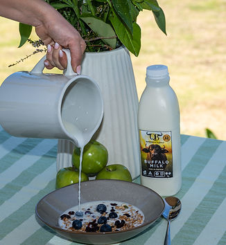 QB Product shoot-21.jpg