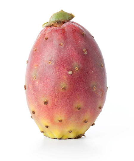 Kaktusfeigenkernöl elivan organics