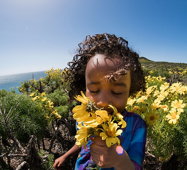 Girl smelling sunflowers - 1280x854.jpg