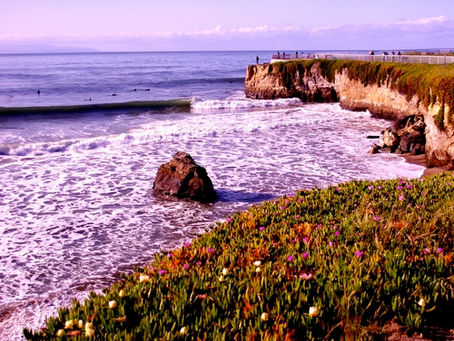 Steamar Lane Santa cruz