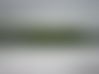 Tropical Hot Club♪