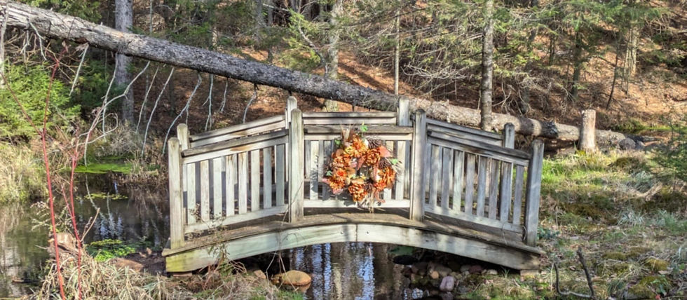 2657afb2-35f9-4c90-9712-411960c87b8c.jfif