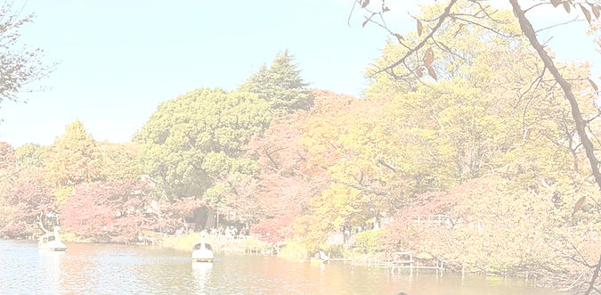 井の頭写真_edited_edited.jpg