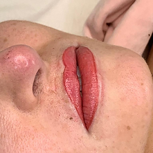 Beauty spot tattoo above lip.png