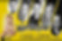 Whats in a name