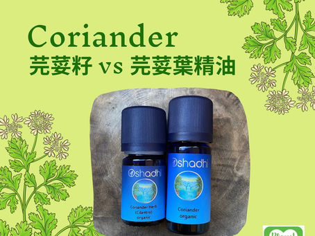 芫荽精油 Coriander seed