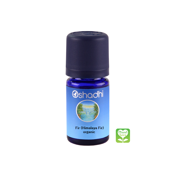 Fir (Himalaya Fir) organic 有機喜馬拉雅冷杉 5ml