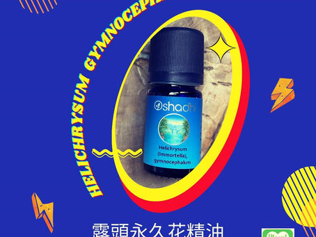 露頭永久花精油 Helichrysum gymnocephalum