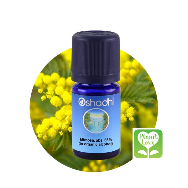 Mimosa, abs. 66% (in organic alcohol) 銀合歡原精66% (在有機酒精中) 3ml