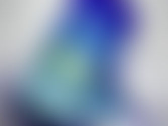 白玉蘭系列