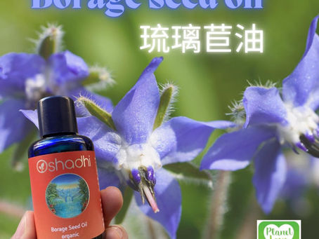 琉璃苣油 Borage Seed Oil