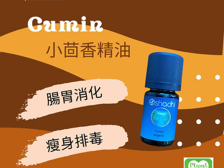 瘦身排毒。小茴香精油