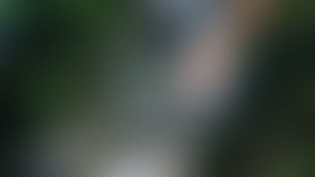 L'eau de la source coule au milieu de la nature.