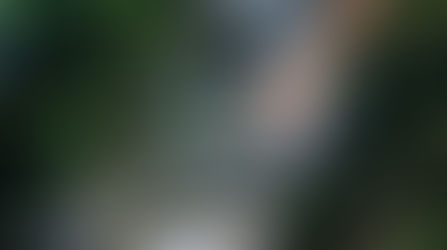 L'eau de la source coule au milieu de la nature.