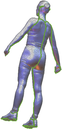 female3d.png