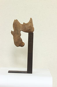 Sachin Chaudhari Riva Arts Gallery 4.JPG