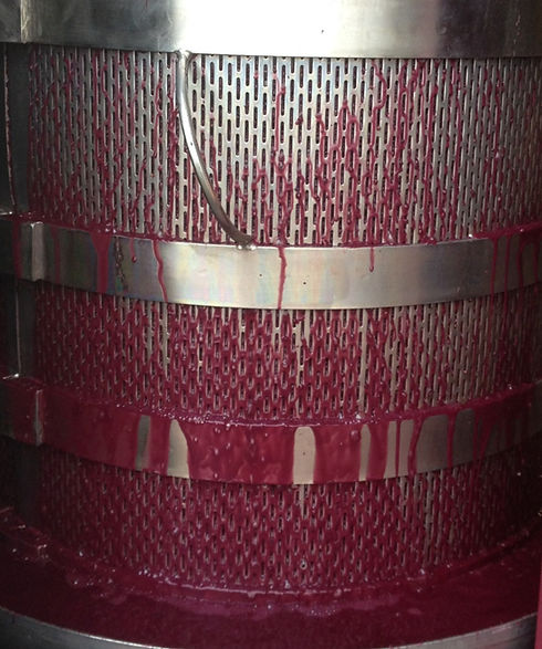 Basket Pressed Wines at Dionysus Winery