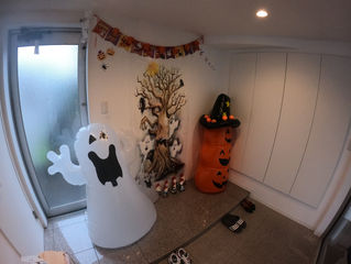 もうすぐハロウィンですね♪