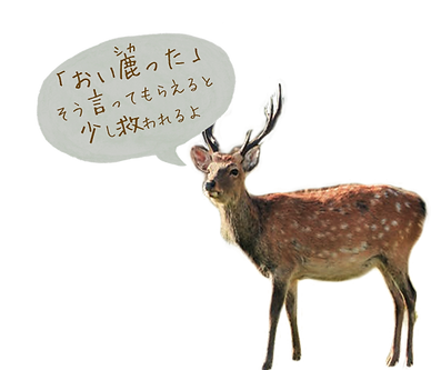 シカ.png