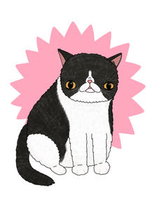 Illustration by Wren & Wilson