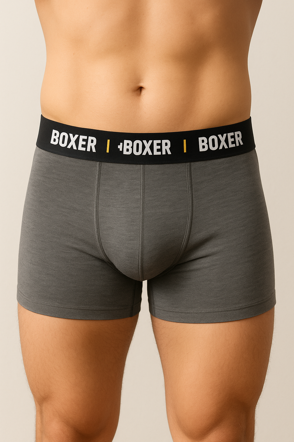 Boxer Gris