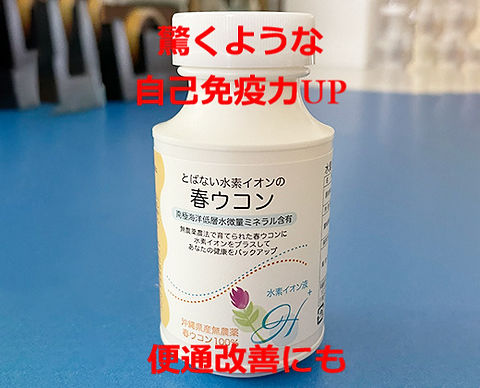 春ウコンサプリ とばない水素イオンの春ウコン│くまひと通販