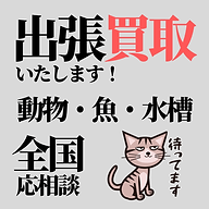 出張買取いたします | ノーザンみしま