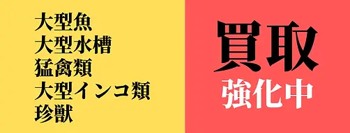 寿 (1)-min.webp