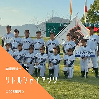 三島市学童野球チーム・リトルジャイアンツ（長谷川道場）