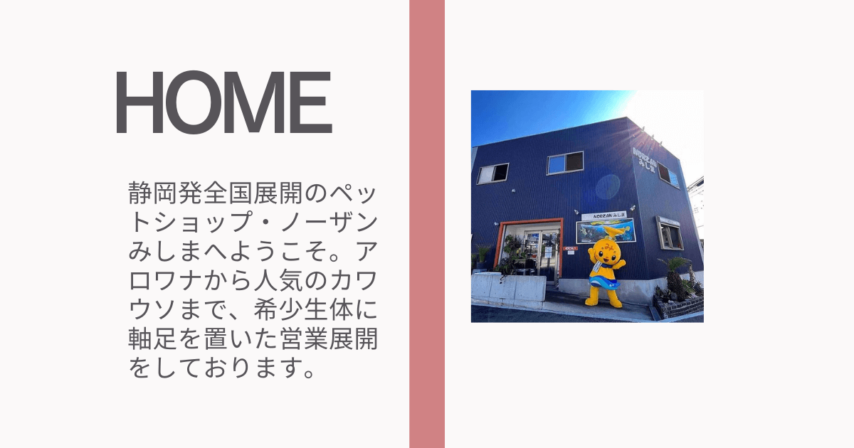 ノーザンみしま | エキゾチックアニマル・小動物｜熱帯魚｜爬虫類