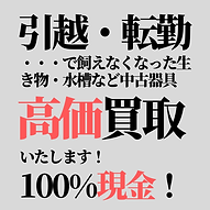 高価買取いたします | ノーザンみしま