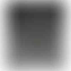 Six-petal flower shape with side leaf made of dark, oxidized silver.