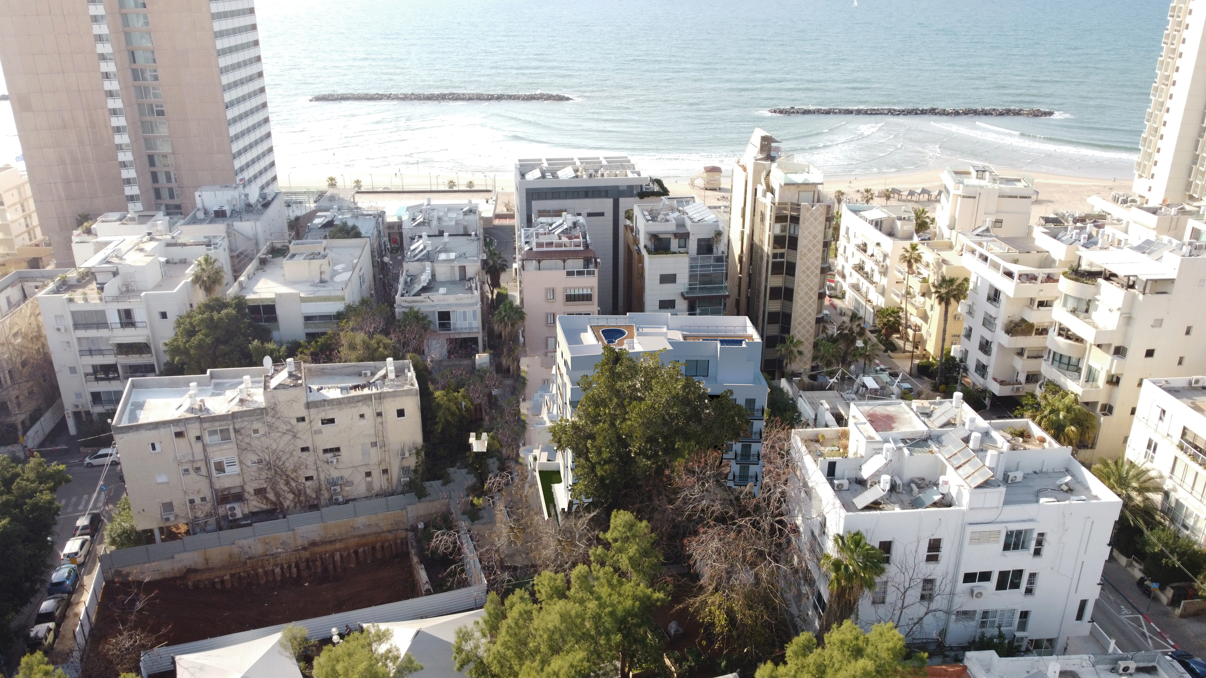 שתילה 4.gif